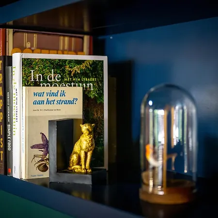 Little Jungle De Haan