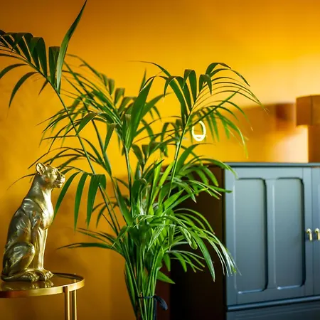 New - Dicht Bij De Zee En Brugge *